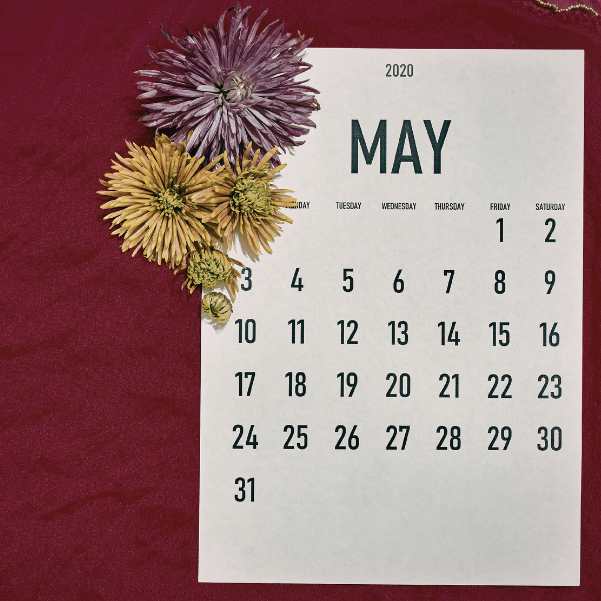 How Many Days Do You Need in May.jpg