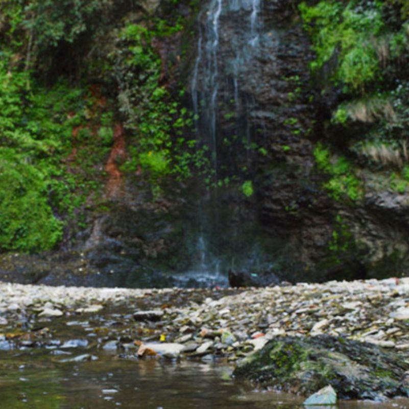 Chadwick Falls