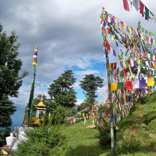 tibetan culture in mcleodganj
