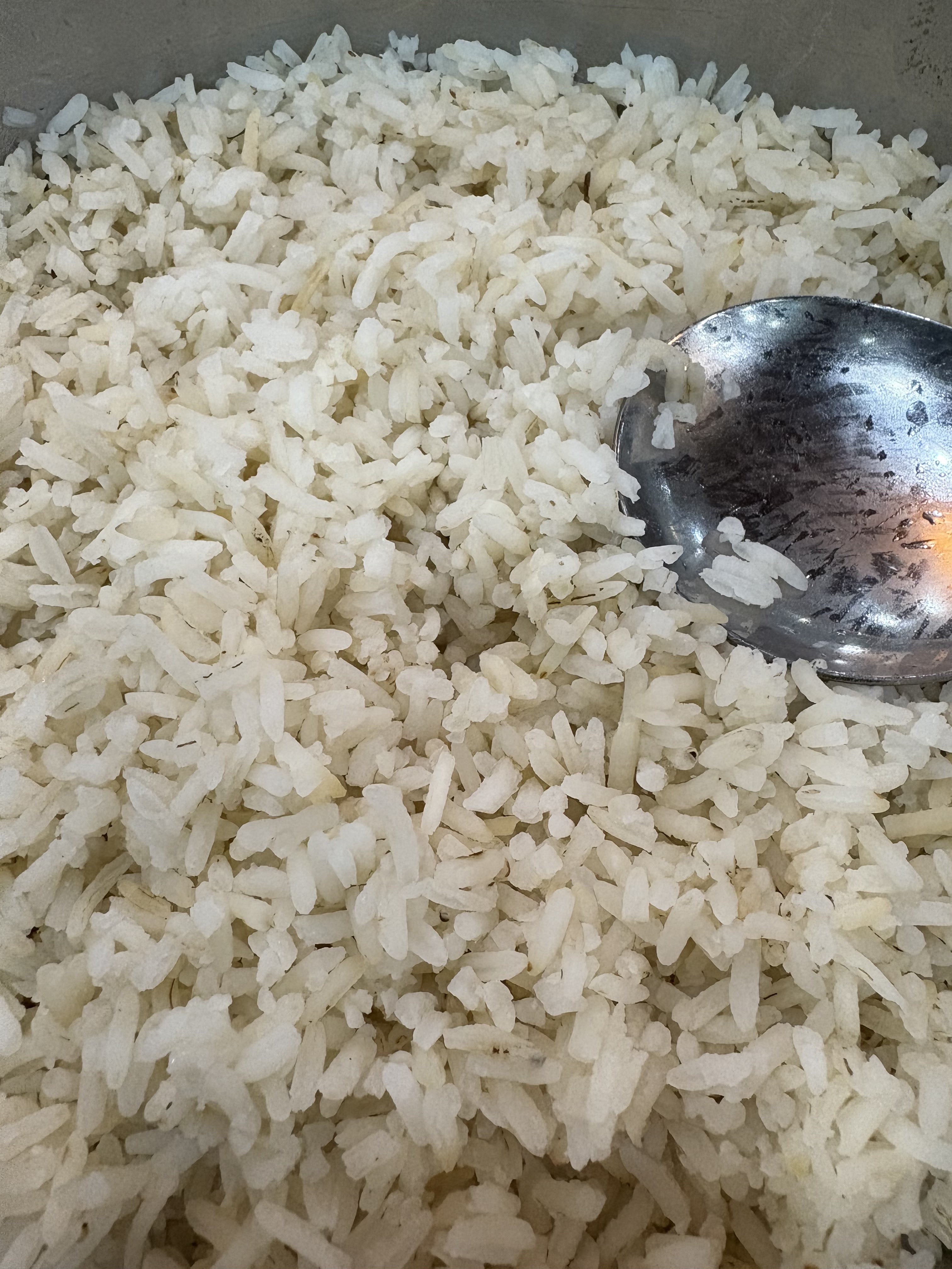 Monali Chaudhari — photo 3