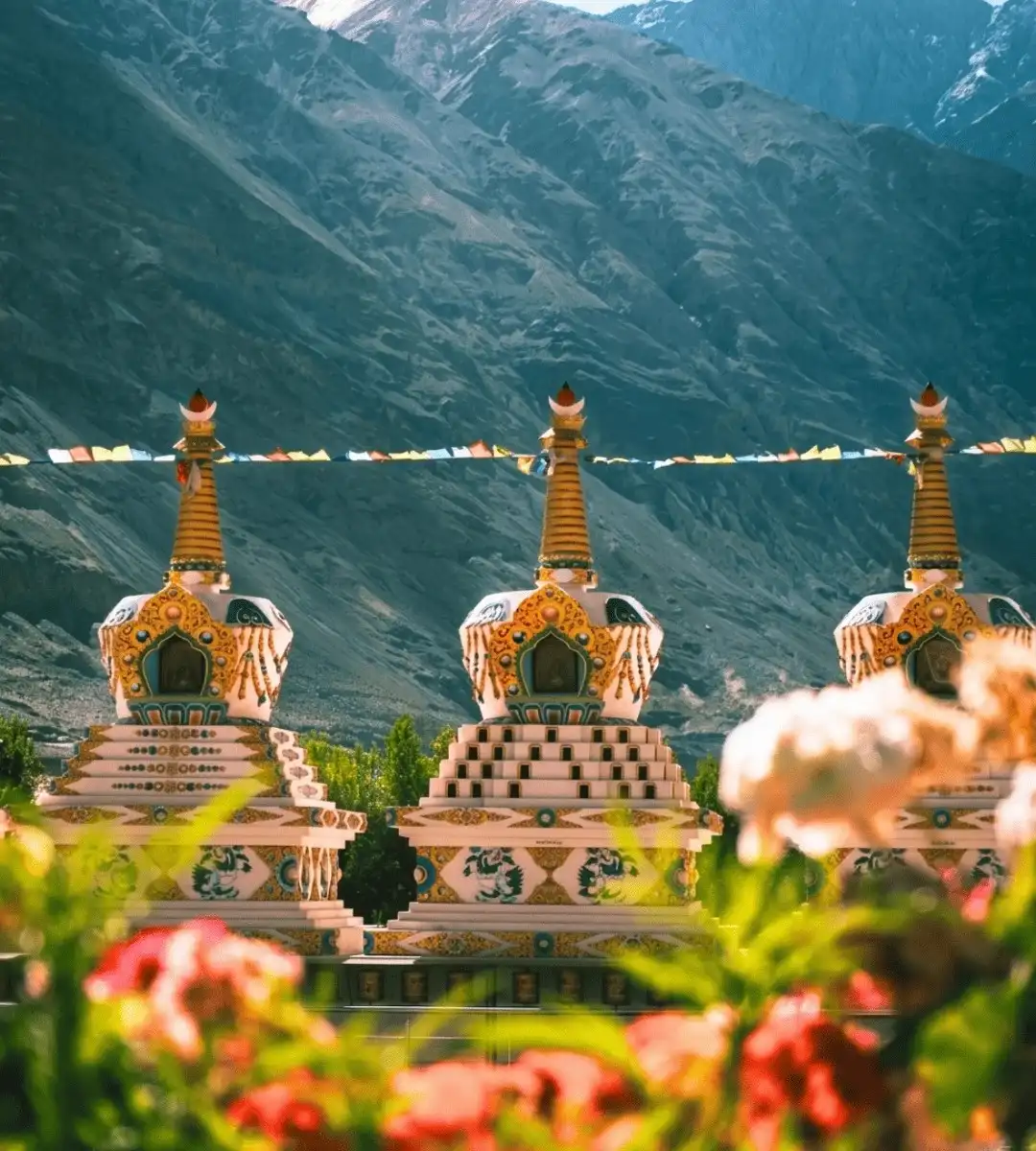 Ladakh-Tour-With-Turtuk-Village.webp