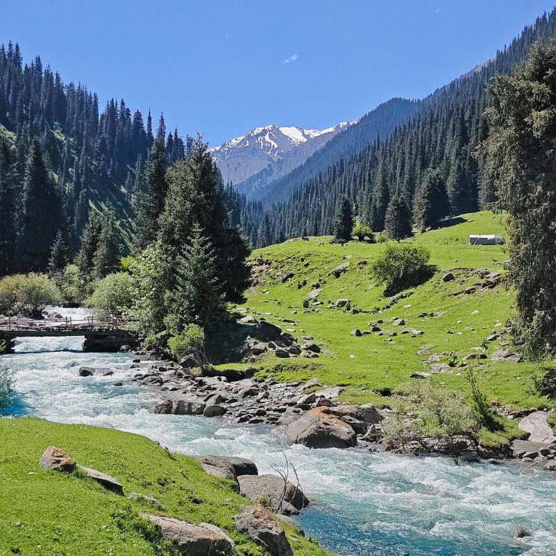 Serene Himalayan view in Tirthan.jpg