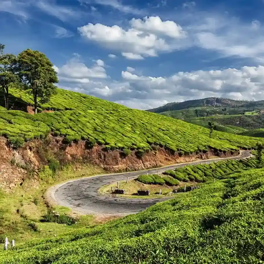 Classic Kerala Hills & Backwaters Experience