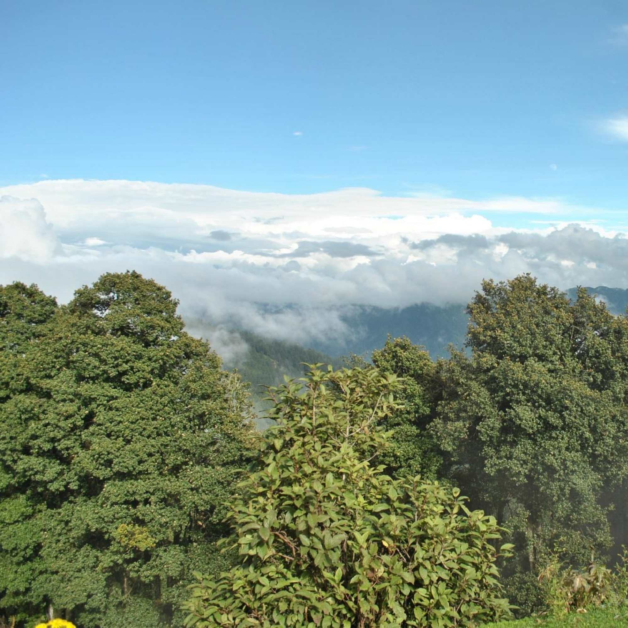 Beautiful landscape view from Hatu Peak in Shimla Himachal Pradesh.jpg