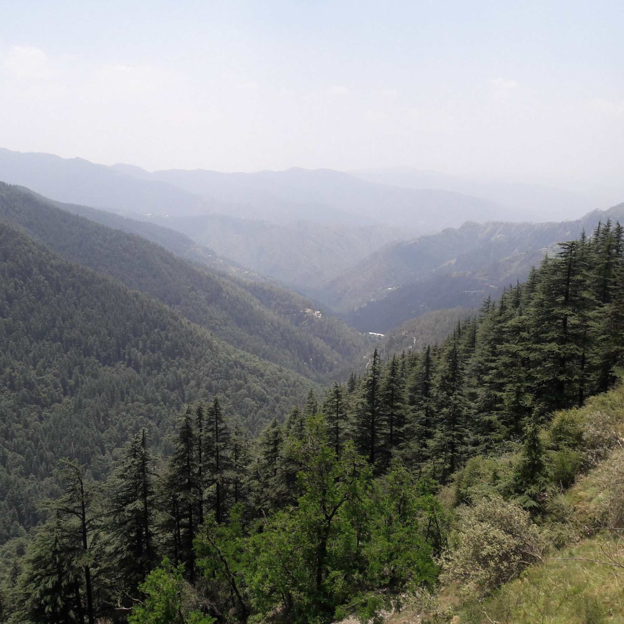 Should You Visit Shimla During the Monsoon?