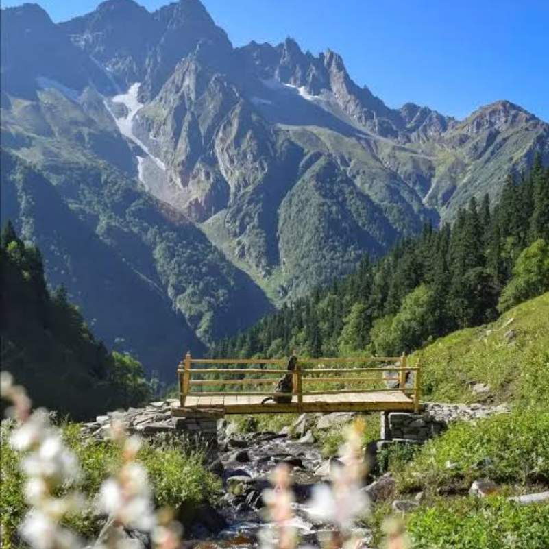 What Is the Best Time to Do Buran Ghati Trek.jpg