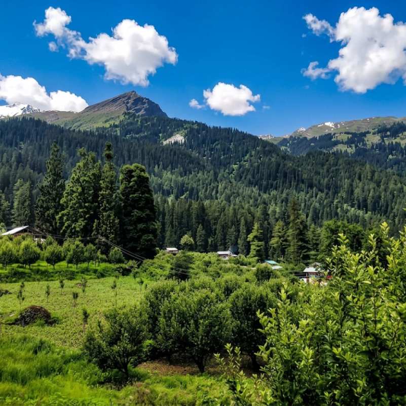 Kalga Village