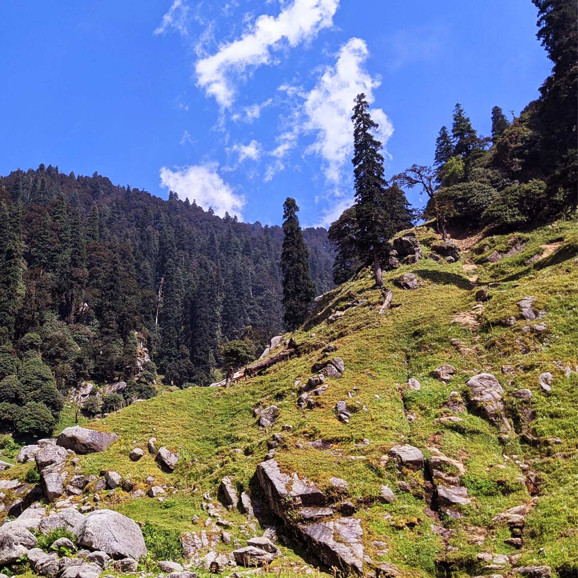 Indrahar Pass Trek in Dharamshala through the Dhauladhar mountains.jpg