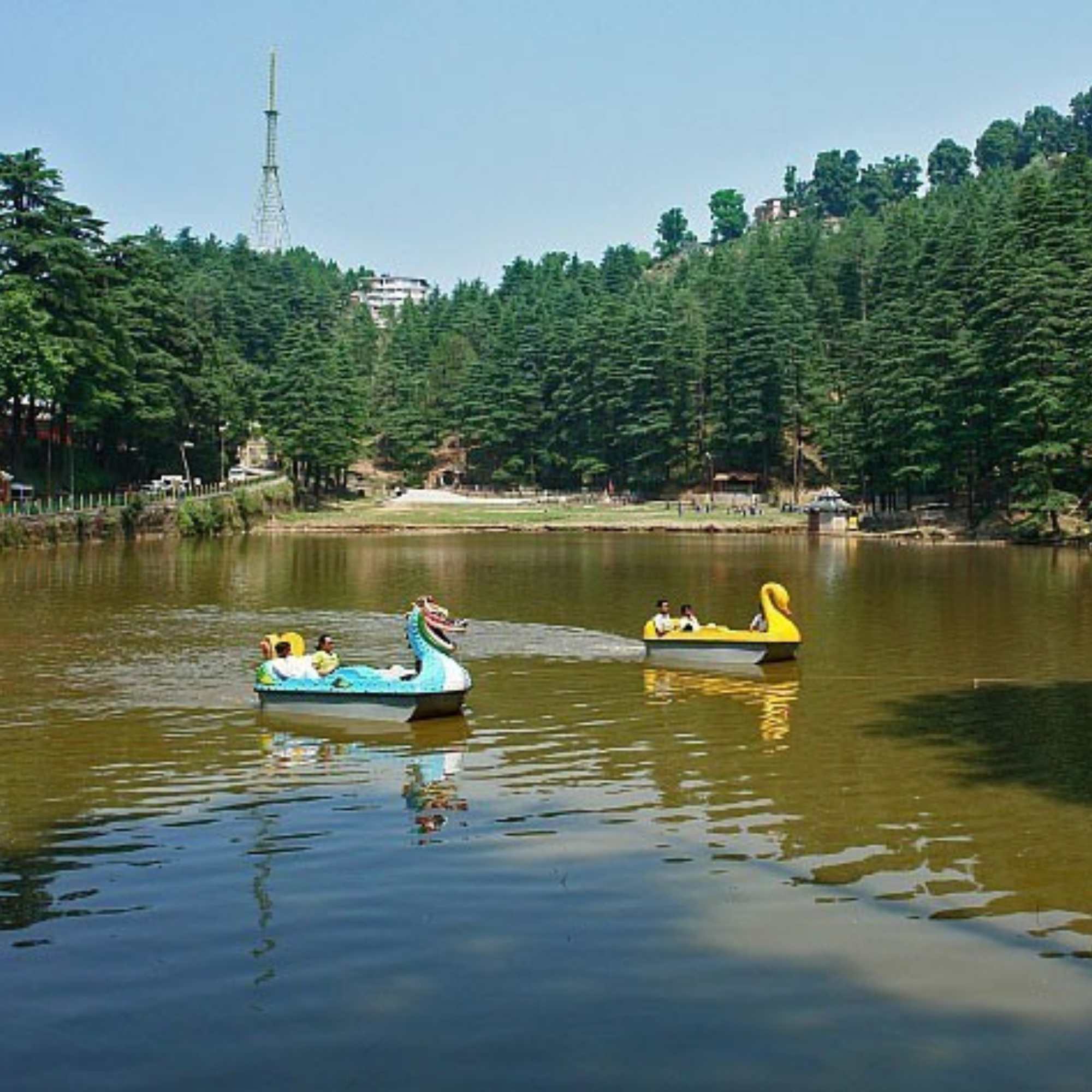 Serene Dal Lake Dharamshala surrounded by deodar forests.jpg
