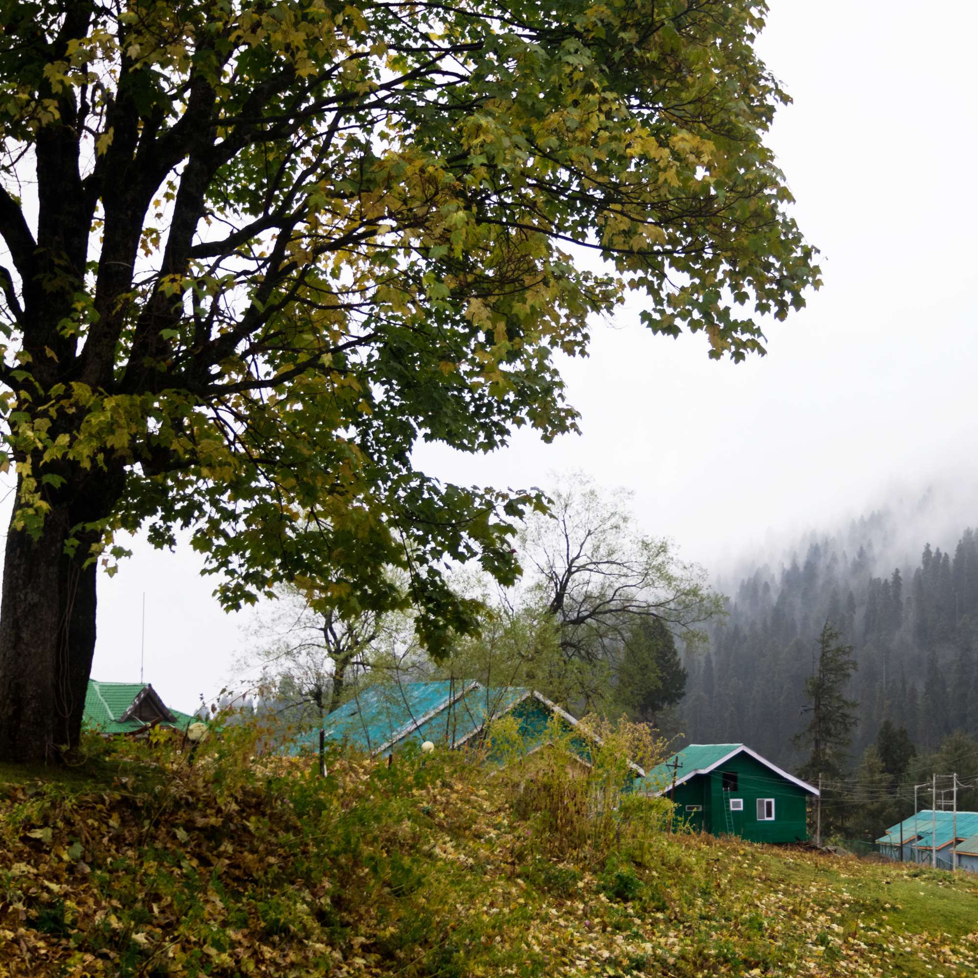 Family Vacation in Gulmarg Kashmir.jpg