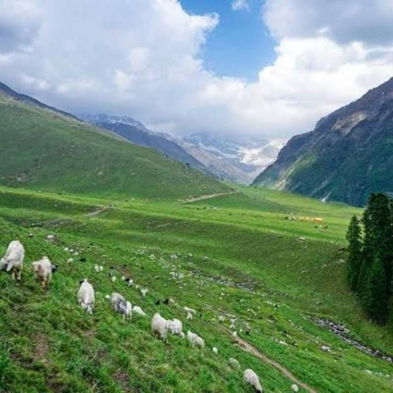 Buran Ghati Trek