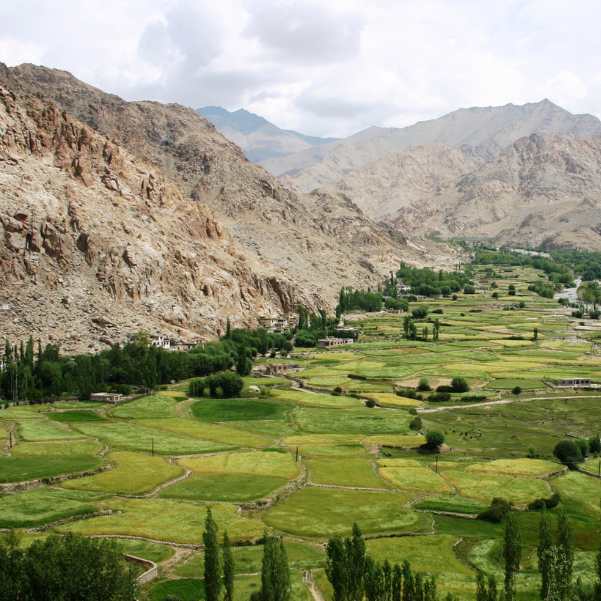 Nubra Valley.jpg