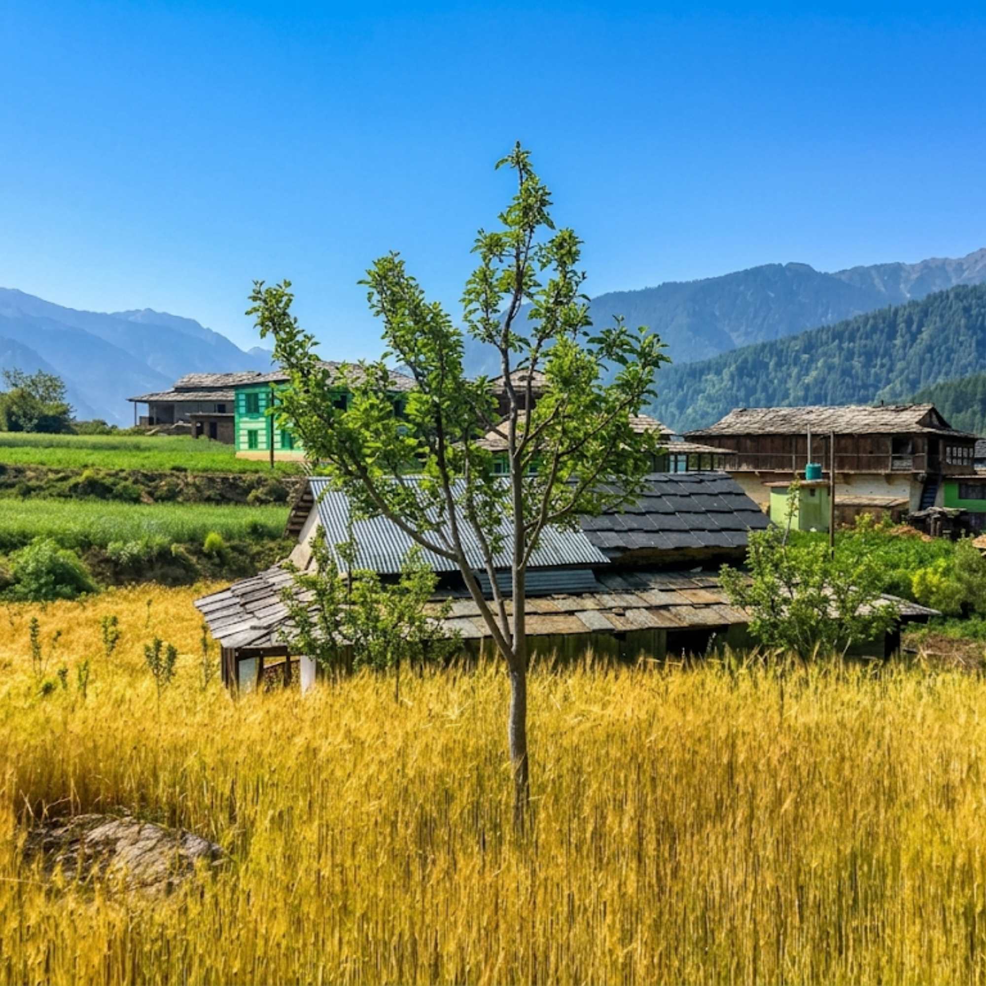Nahi Village