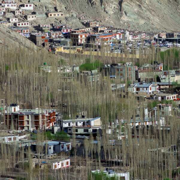 What Is the Official Website for ILP Ladakh Online.jpg