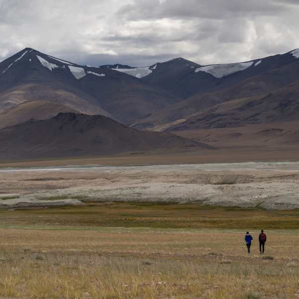 Tso Moriri Lake in June