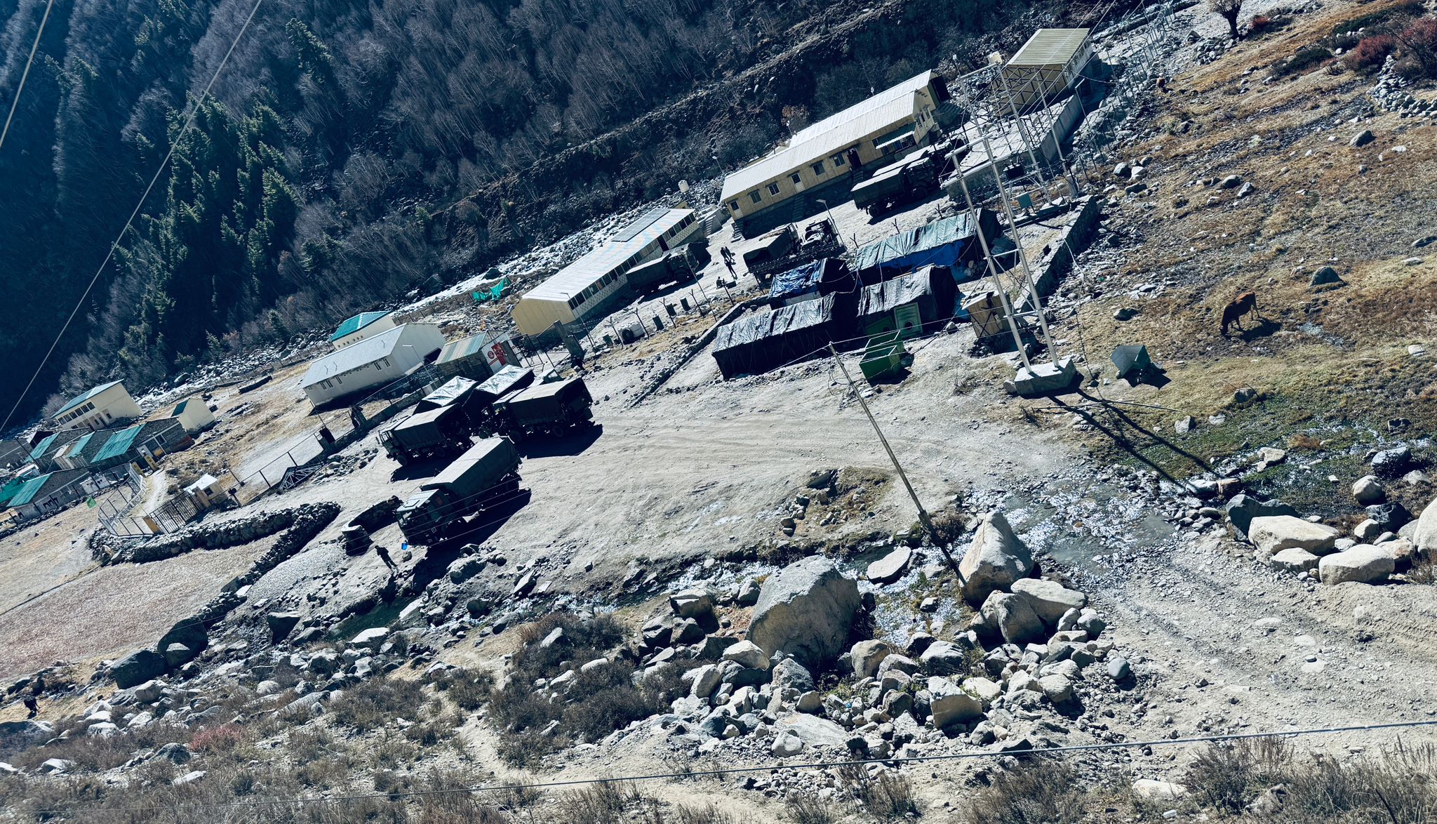Tanushri Guneria — photo 1