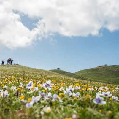 The open grass meadow at the top of the Raghupur Fort trek, where most trekkers sit and take in the panorama before walking back down to Jalori Pass