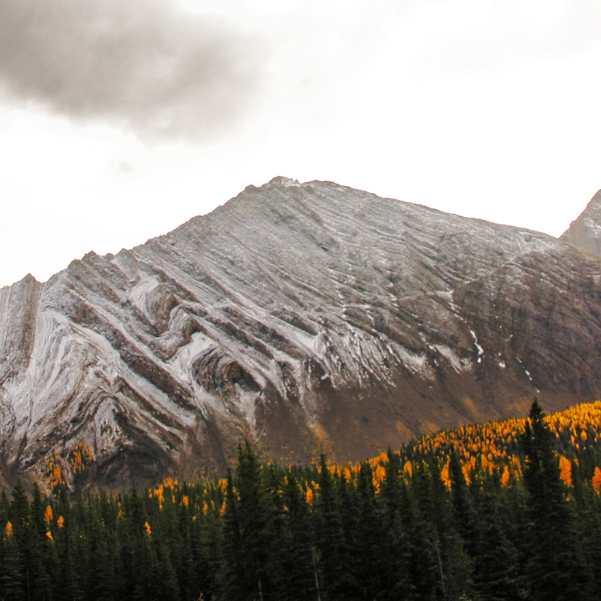 Shinkula Pass in April at a Glance.jpg