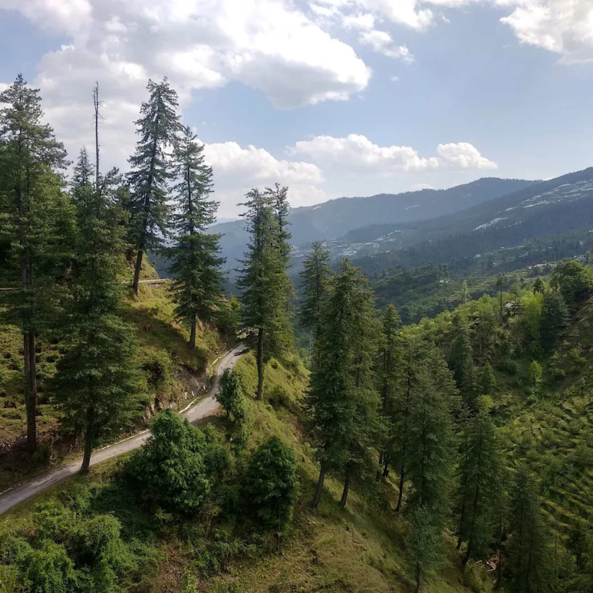 Pabbar Valley river landscape capturing the natural beauty of Shimla district.jpg