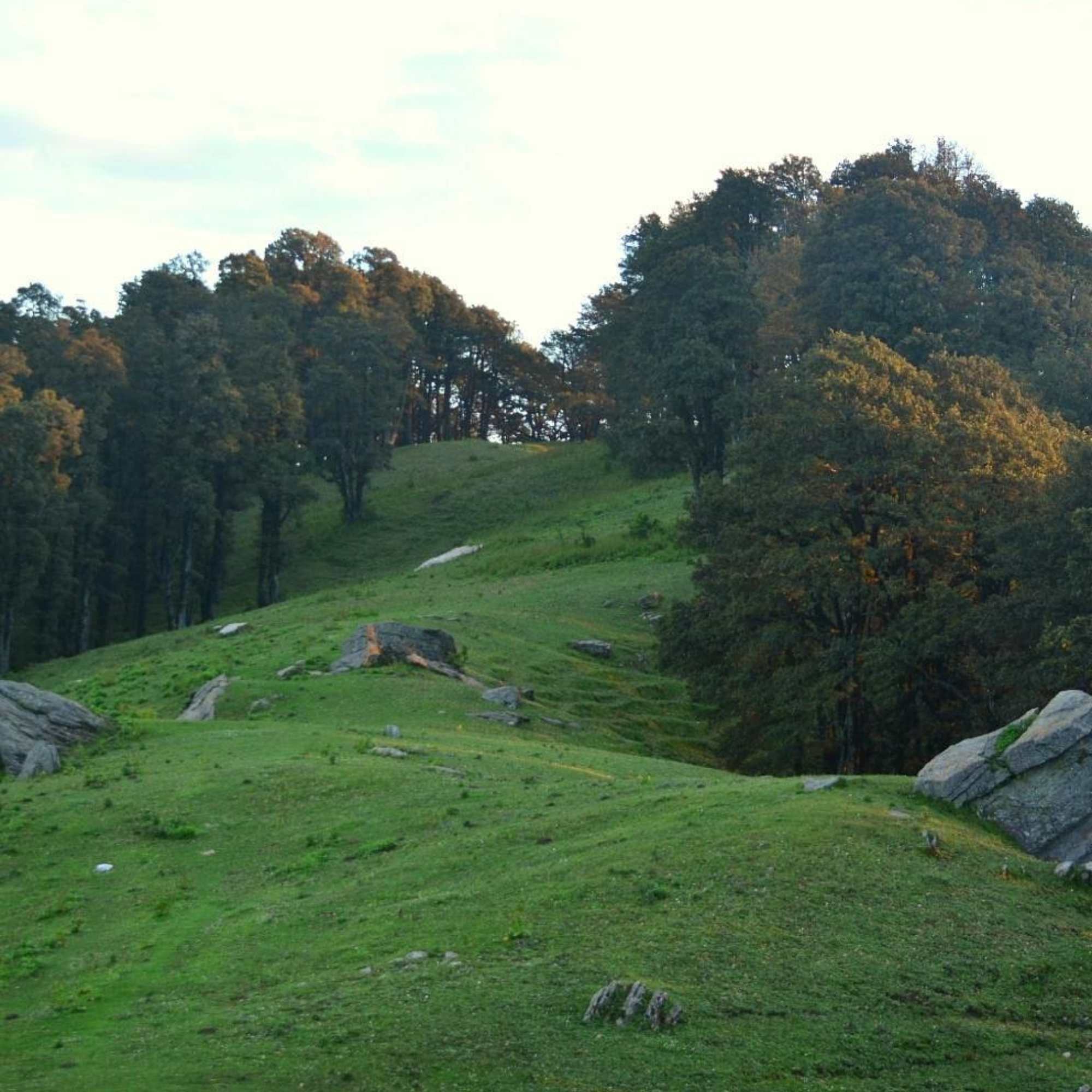 Hatu Peak, the highest point in Narkanda with breathtaking scenery.jpg