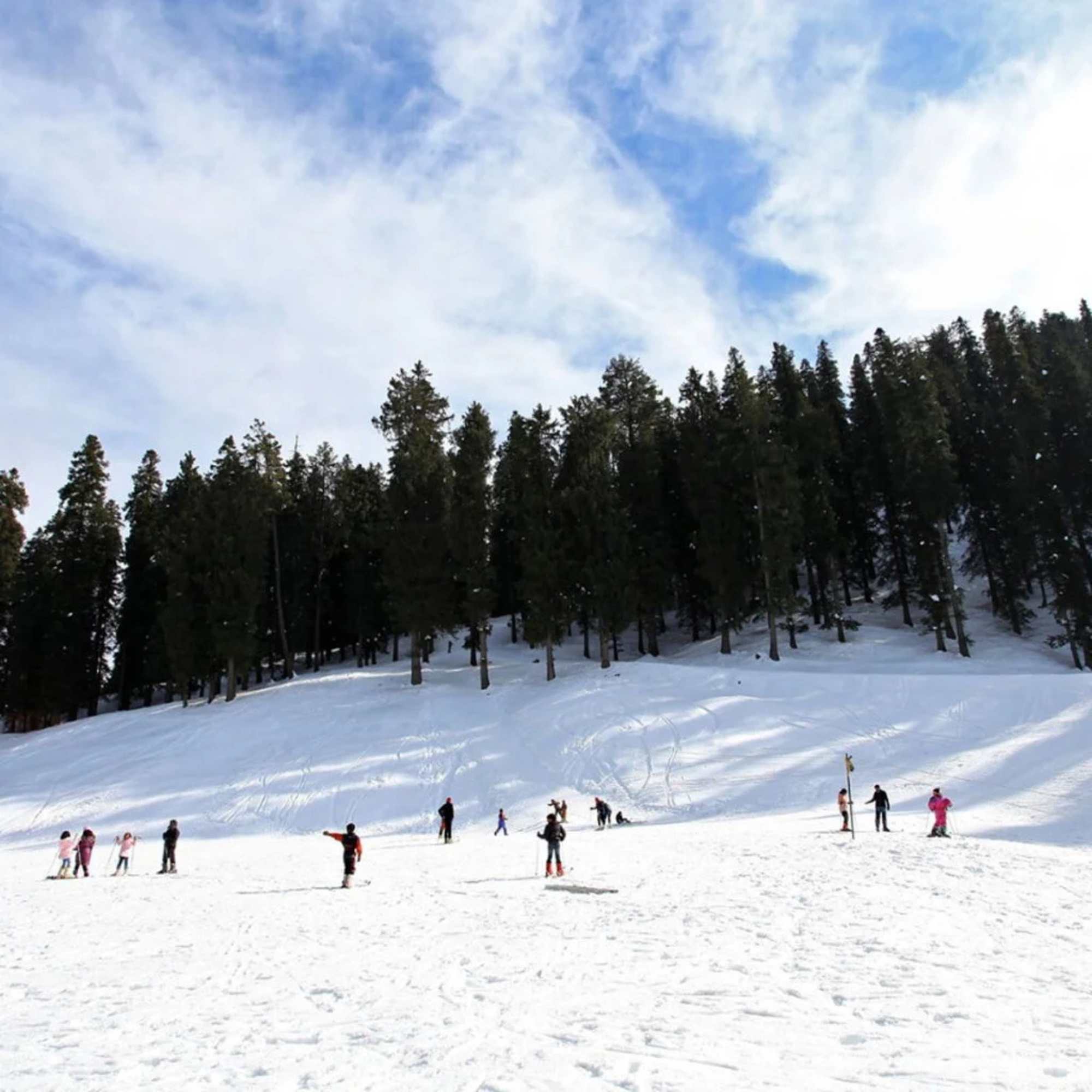 Shimla Snow Trip