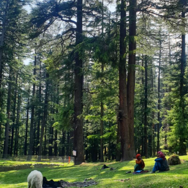 Bahu Village