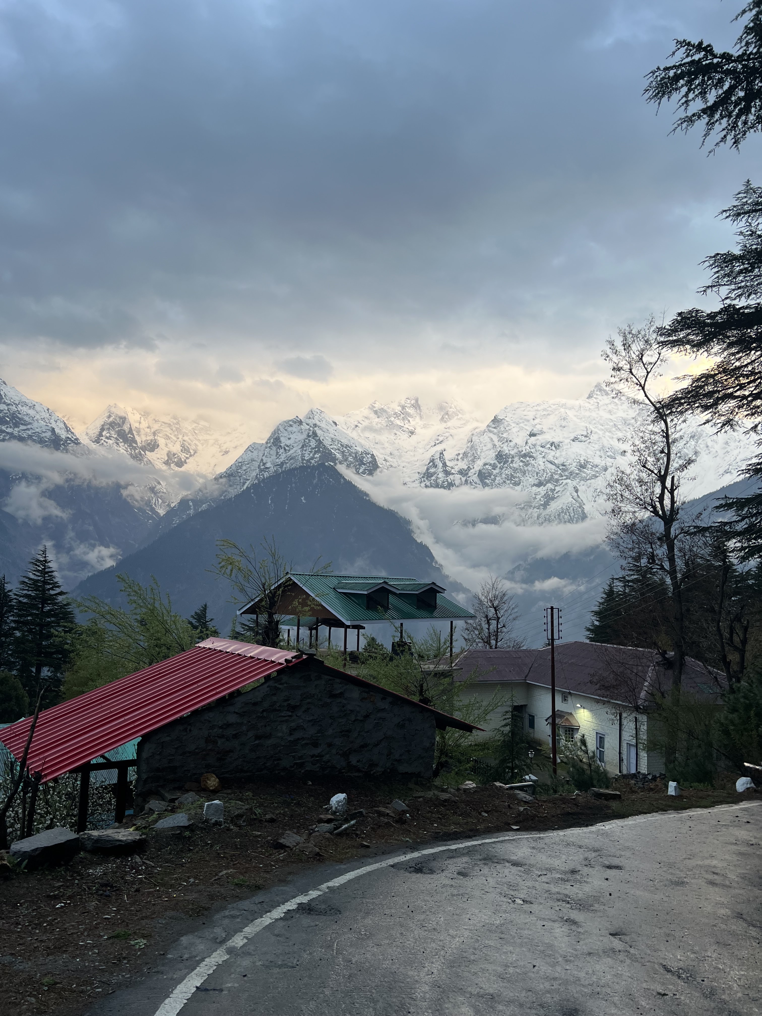 Thruptha Yashavanth — photo 1