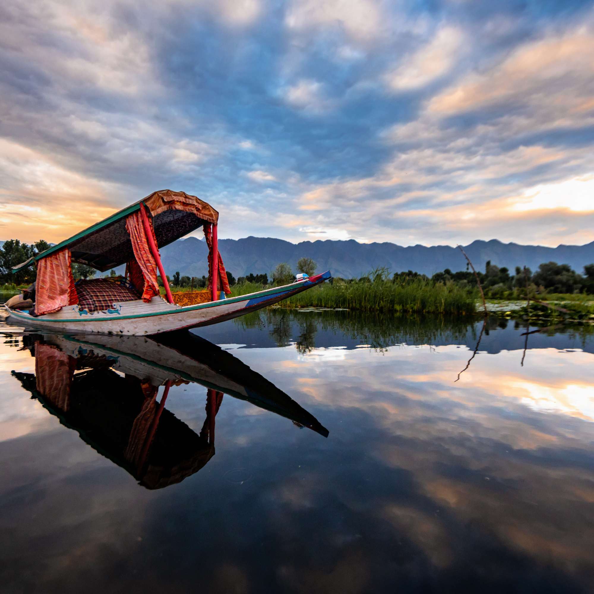 Colorful Shikaras Floating on Dal Lake.jpg