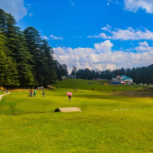 Khajjiar meadow ringed by deodar forest, India's Mini Switzerland