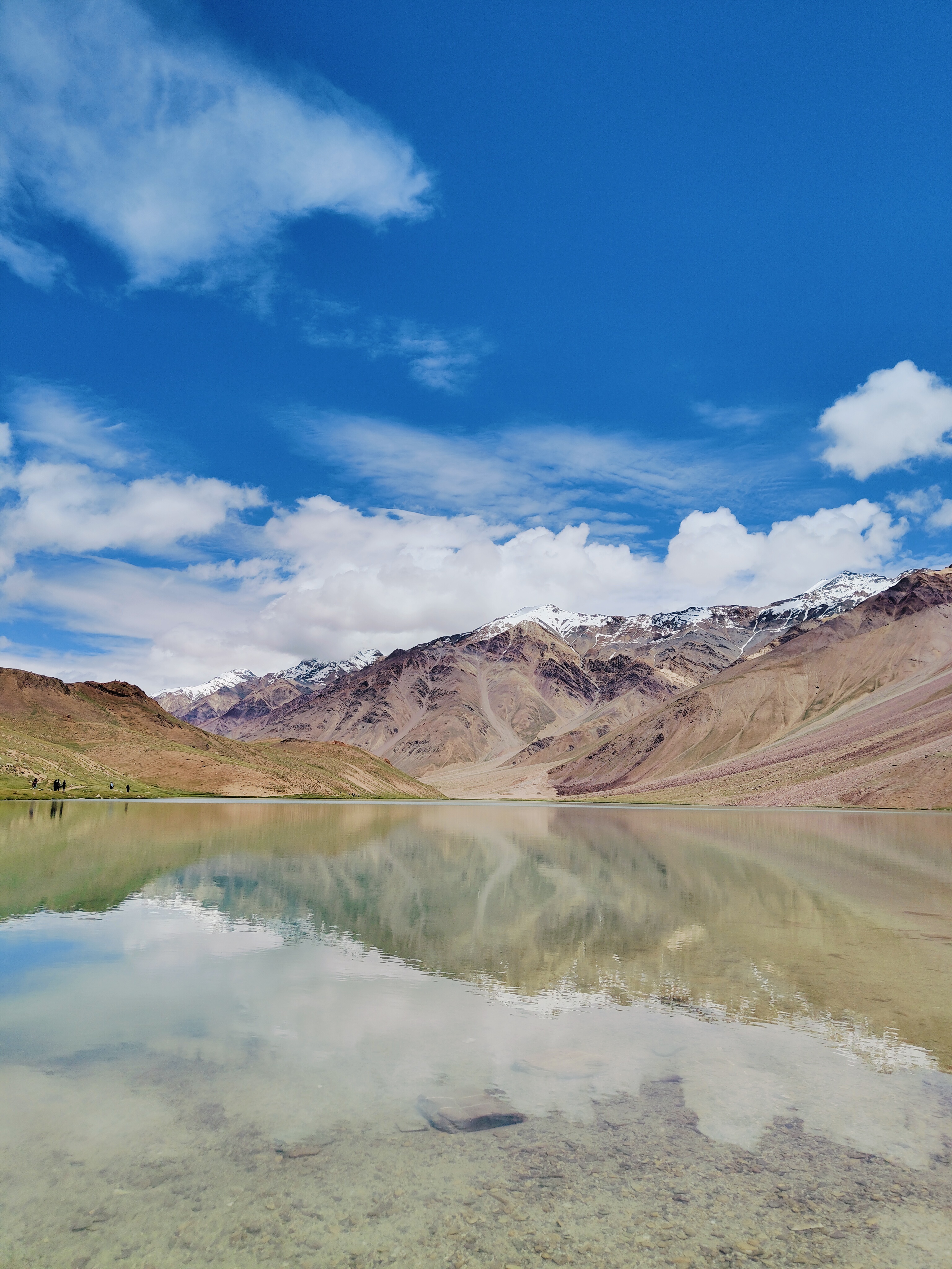 P Shivani — photo 1