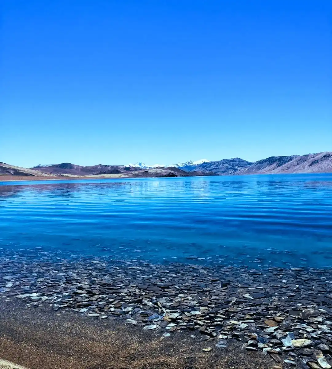 Best Leh Ladakh Tour With Nubra Pangong and Tso Moriri