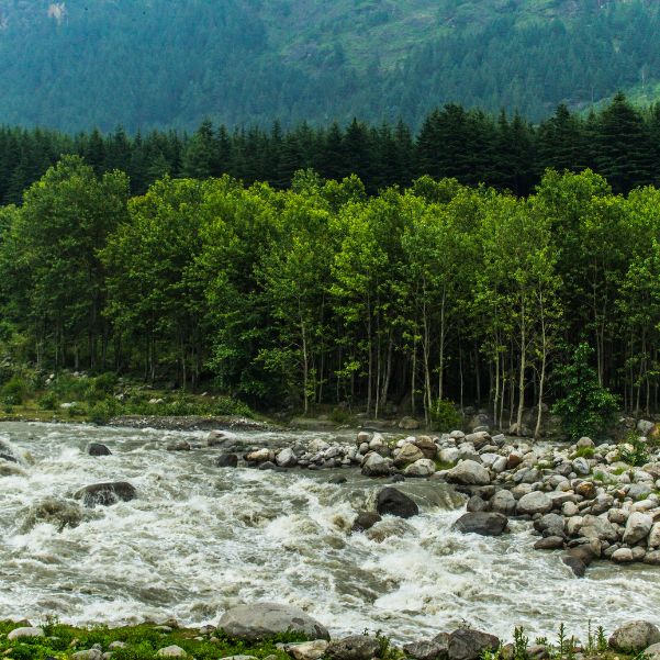 25 Best Places to Visit in Manali_ Local Sightseeing, Snow Points and Day Trips.jpg