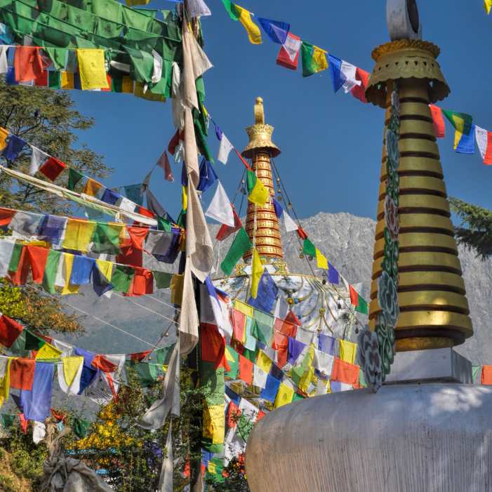 Why Dharamshala Is One of the Best Places in India for Monastery Visits.jpg