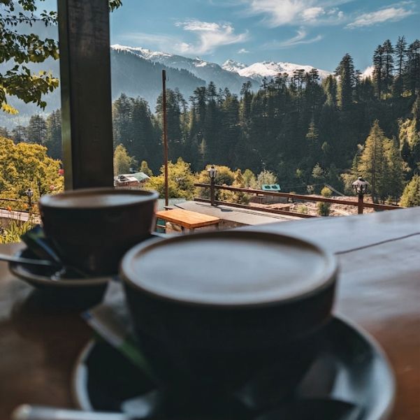 20 Best Cafes in Manali and Old Manali for Views, Breakfast, Coffee and Remote Work in 2026.jpg