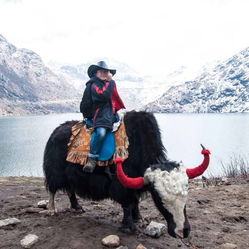 Consider Yak, Pony or ATV Rides Only When Available