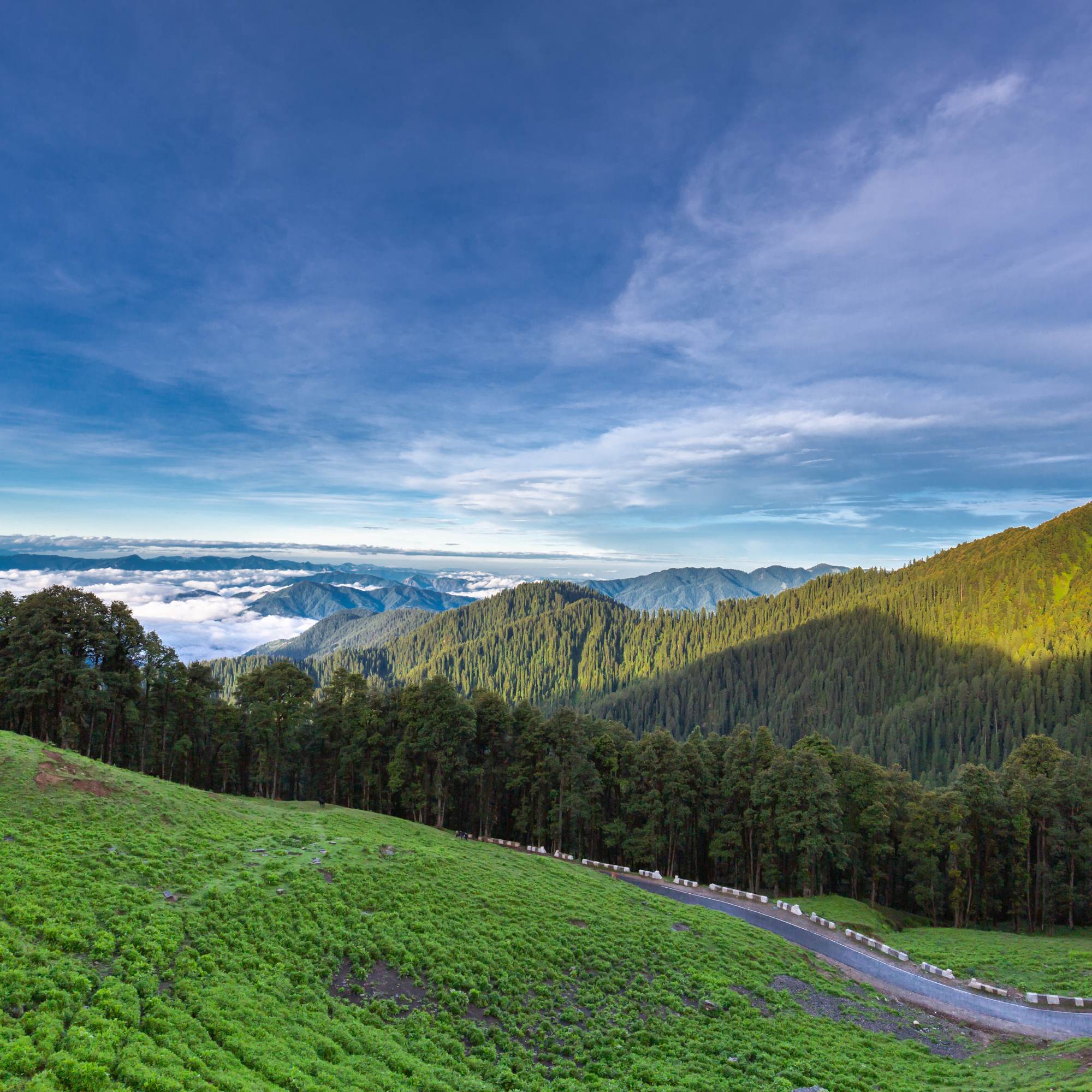 Jalori Pass