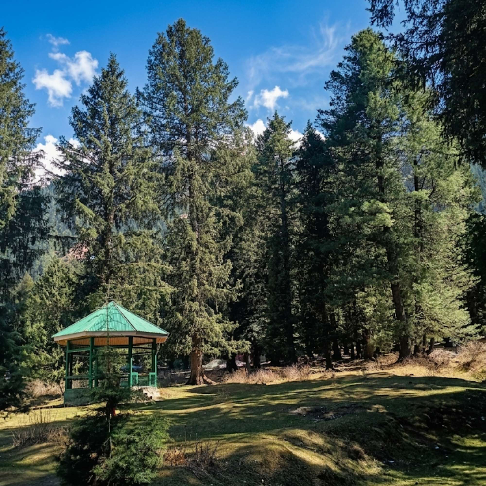 Explore the Natural Beauty of Betaab Valley Kashmir.jpg