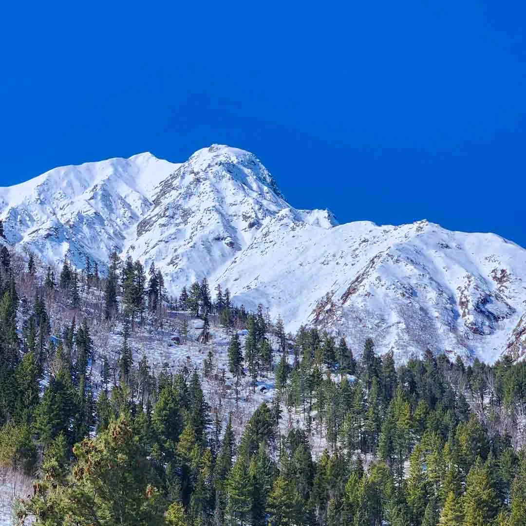 Kinnaur Tour Package From Delhi With Sangla Chitkul and Kalpa