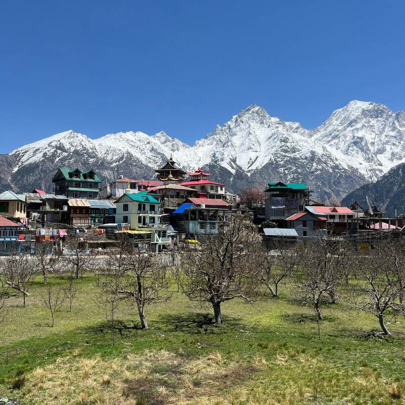 Kalpa village with Kinner Kailash mountains in the background