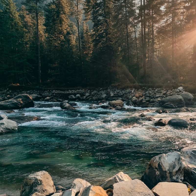 Parvati River