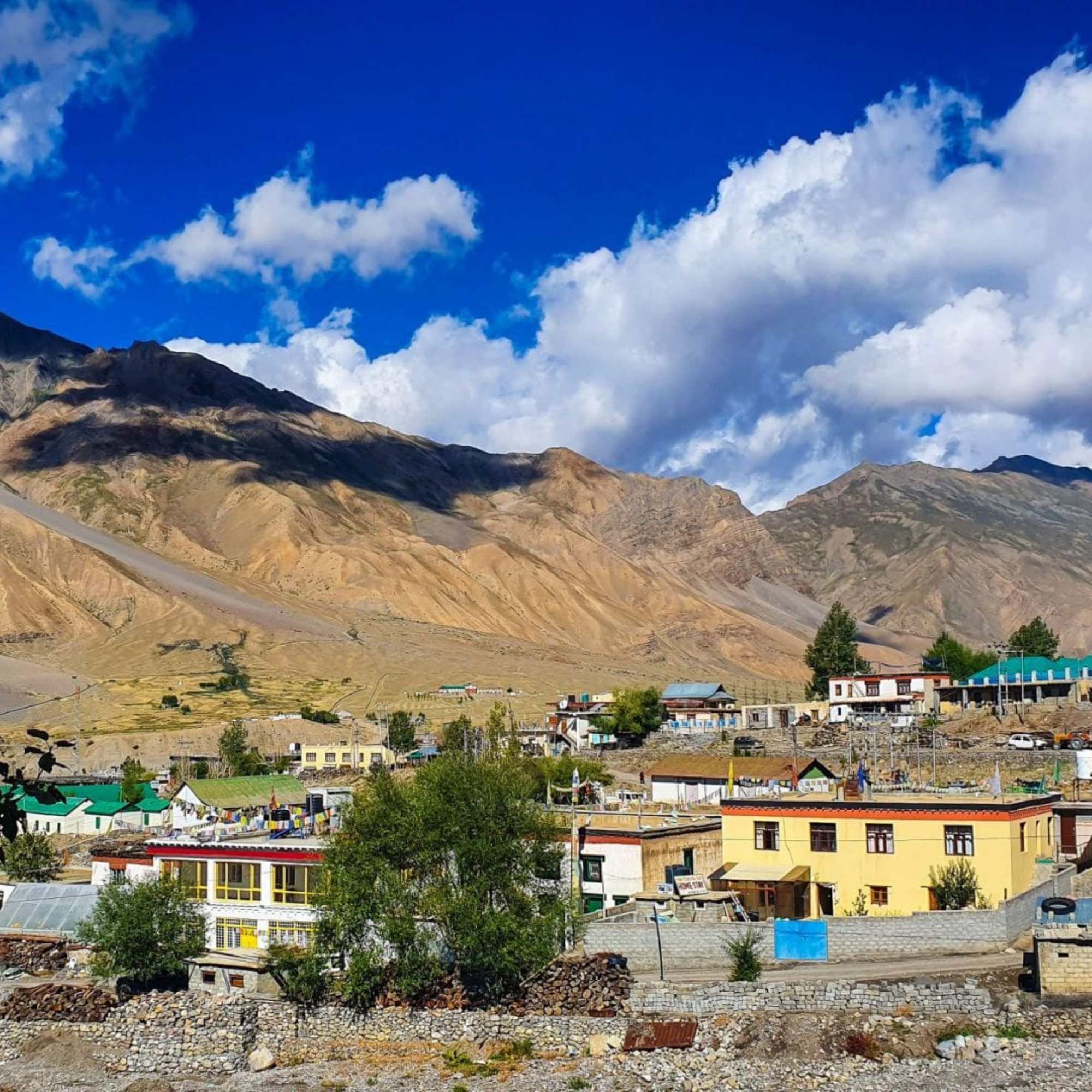 Which Hotels and Homestays Remain Open in November?