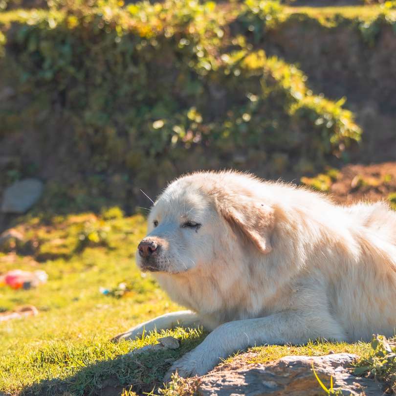 Jibhi Weather in March.jpg