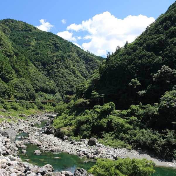 Why There Is No Fixed Opening Date Every Year.jpg