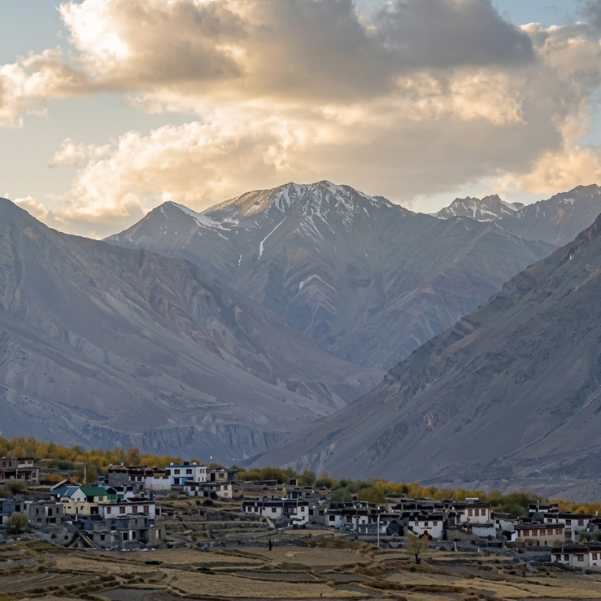 Mud and stone houses of Losar village with fields and bare mountains in Spiti