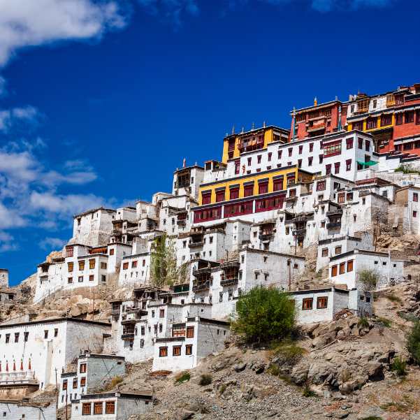 Thiksey Monastery.jpg