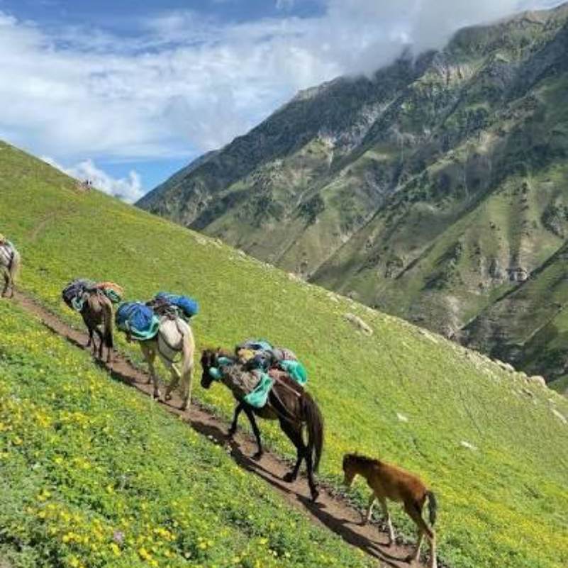 Is This Kashmir Itinerary 5 Days Plan Good for Families, Couples and Older Travellers?