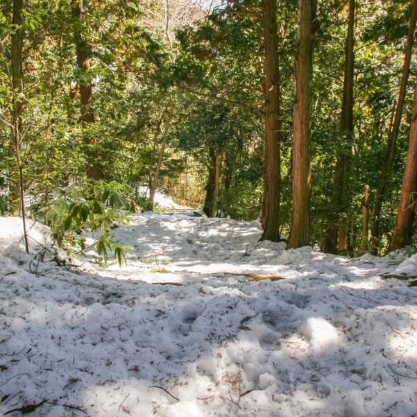 Can You See Snow in Dharamshala or McLeodganj in May.jpg