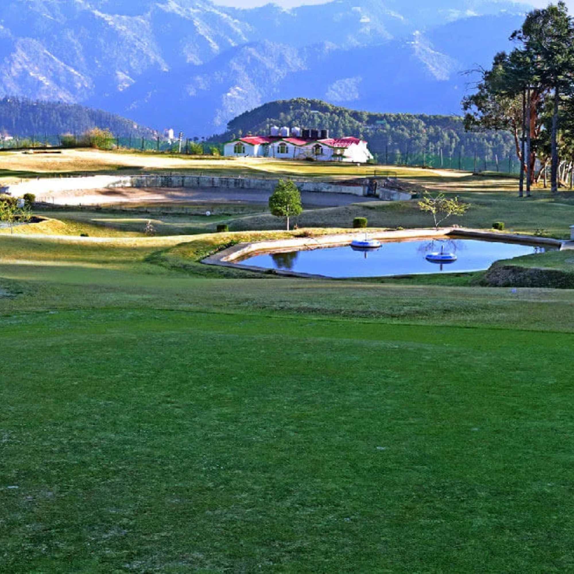 Scenic Naldehra surrounded by lush green forests.jpg