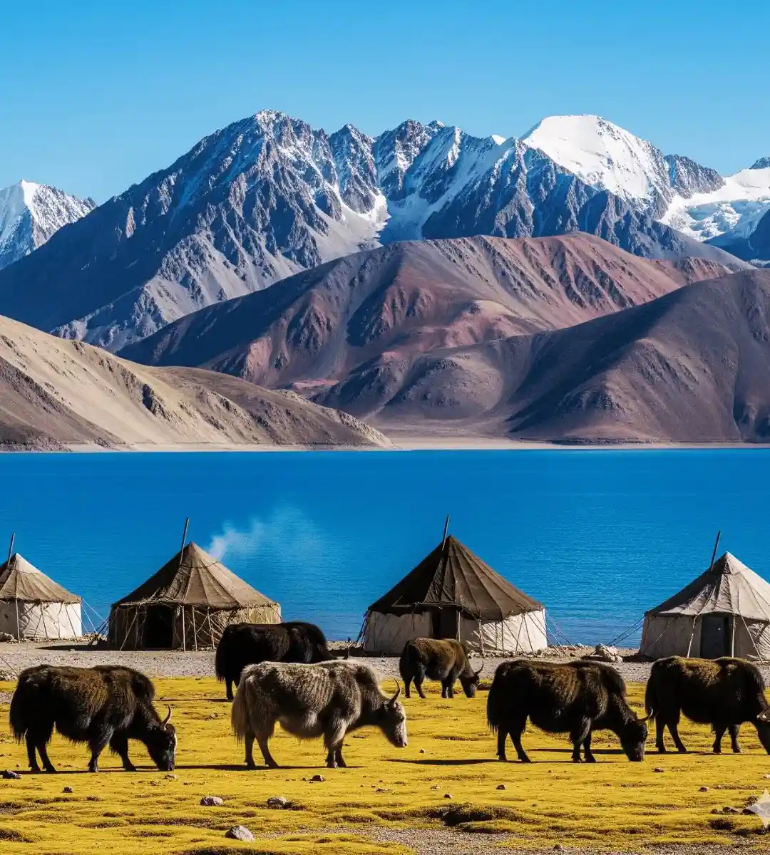 Best Leh Ladakh Tour With Nubra Pangong and Tso Moriri