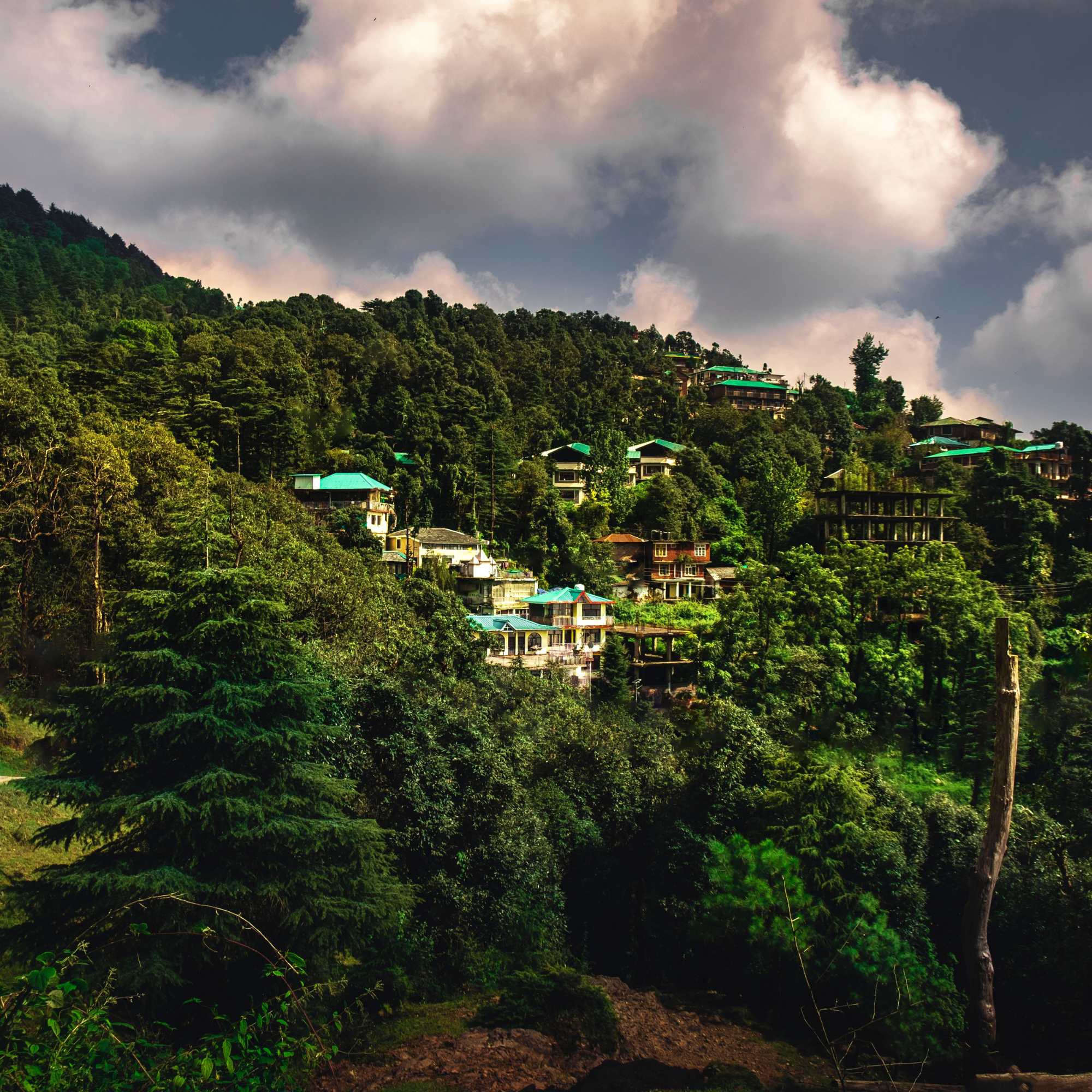 Beautiful hill town of McLeod Ganj near Dharamshala.jpg